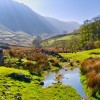 Government accused of 'worrying complacency' over environment in post-Brexit Britain